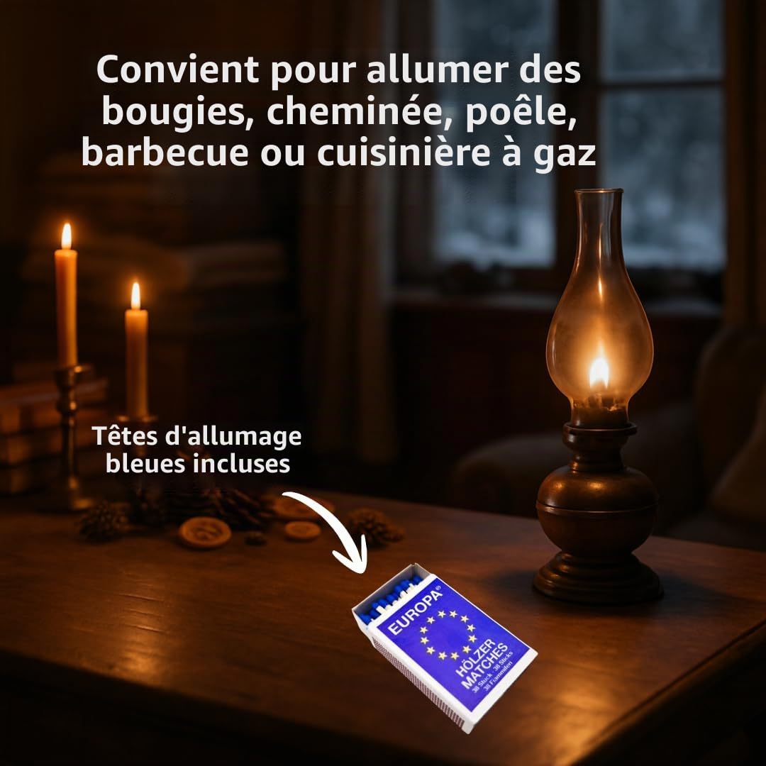 Allumettes EUROPA 100 boîtes, 10 x 10, bois d'europe, allumettes de sécurité