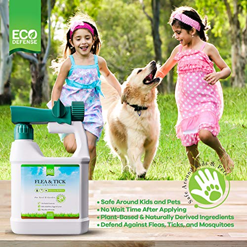 Eco Defense Flea, Tick, and Mosquito Spray for Yard and Perimeter - Safe Around Kids, Pets, Plants - Outdoor Barrier Control & Repellent - Ready-to-Spray Covers Up to 5,000 sq ft - Thumbnail 2