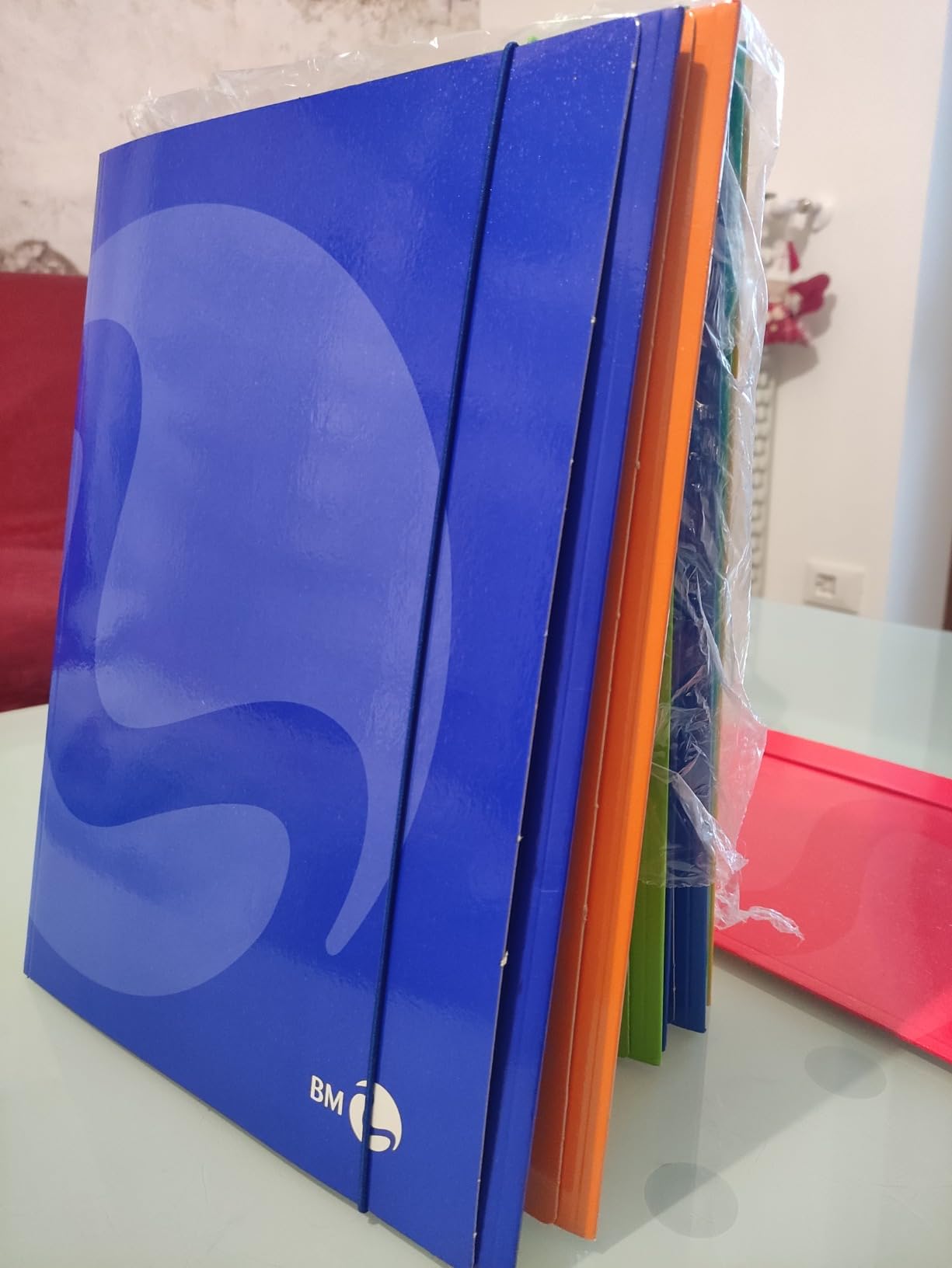 Cartelline Portadocumenti A4 Con Elastico | Copertina Rigida 700g/mq | Plastificata Lucida | Confezione Da 10 - Foto 2