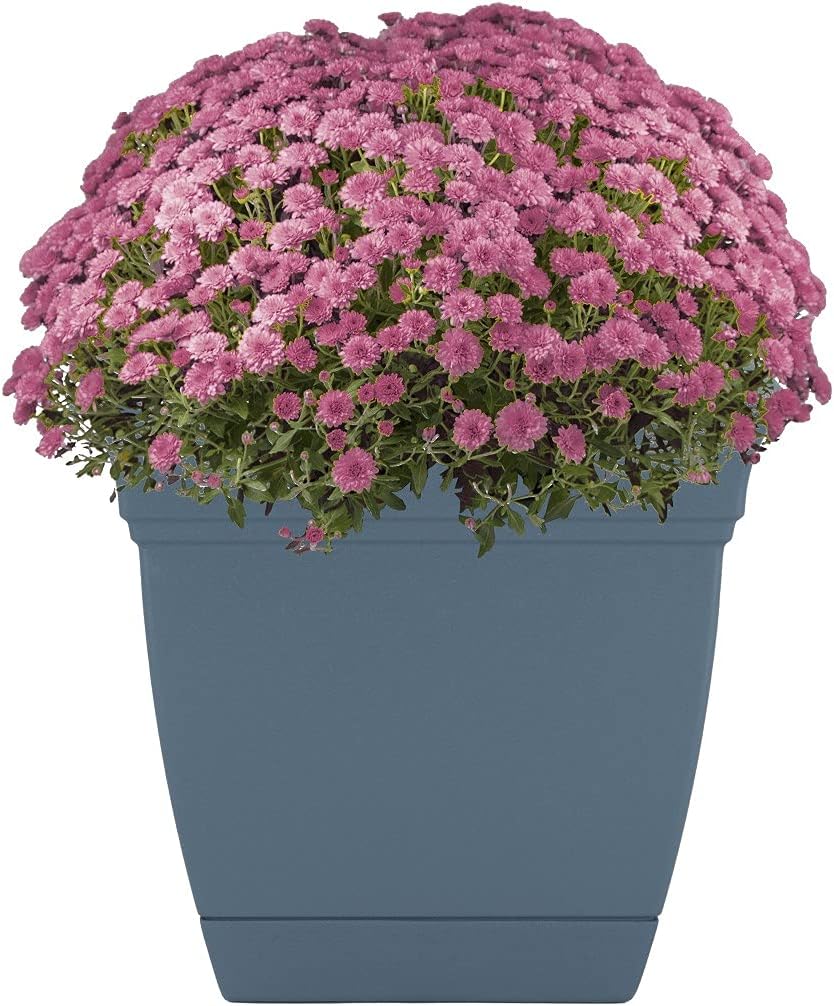 The HC Companies ECP08000DE21024LRDGQ planters, 8", Slate Blue : Everything Else