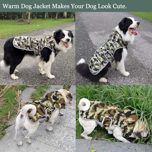 Etechydra Winter Hundejacke with Abnehmbarem Hut, Hundemantel Wasserdicht Reflektierend Hund Mantel Warme Hoodie Fleece Welpenmantel, Jacken für Kleine Mittlerer Große Hunde, Grün, S
