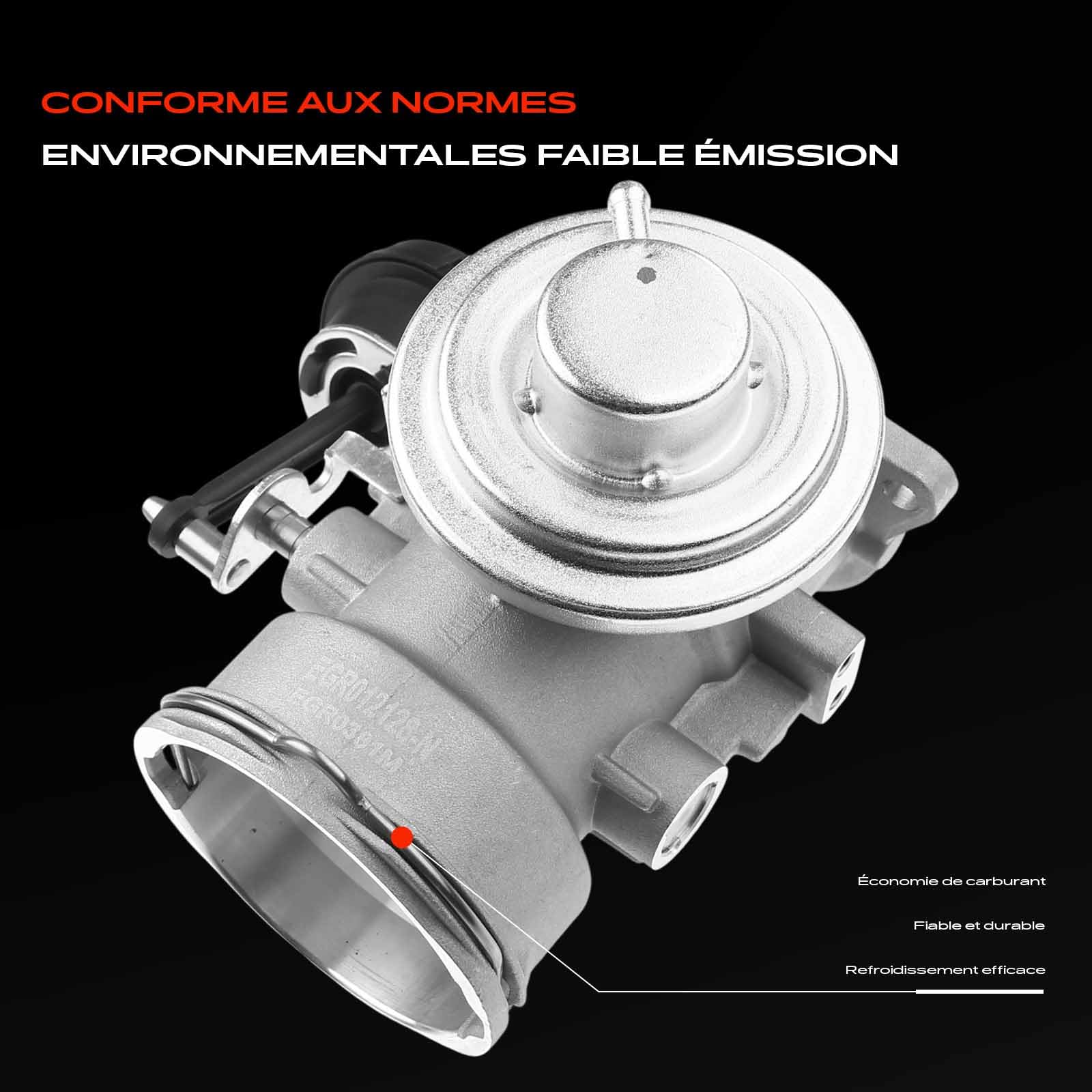 Frankberg Vanne EGR de recirculation des gaz d'échappement 555086