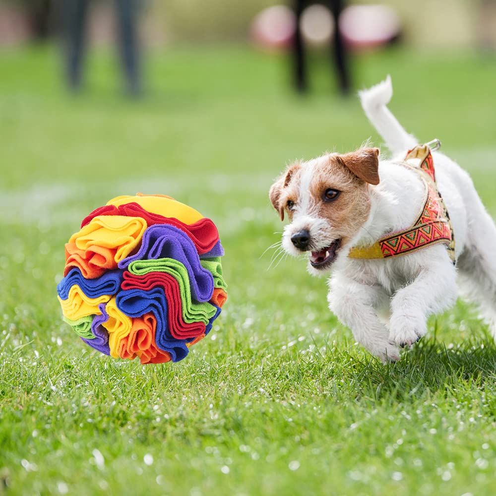 Palla da fiuto per cani, giocattolo interattivo, lavabile, antiodore, antistress 15 cm