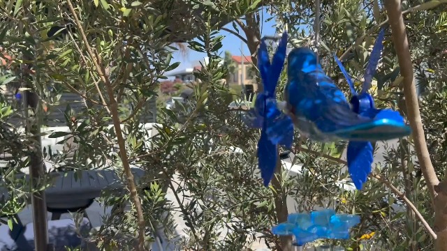 Amazon.com : Exhart Wind Chimes, Metallic Blue Bird Wind Chime