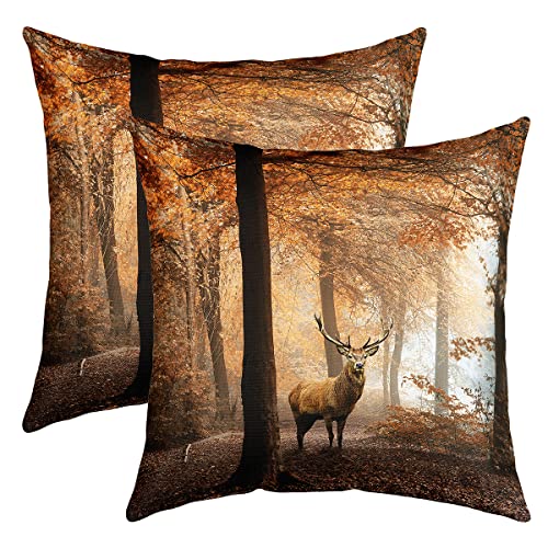 Wald Hirsch Kissenhülle Braun Elch Dekokissen 50x50cm für Sofa...
