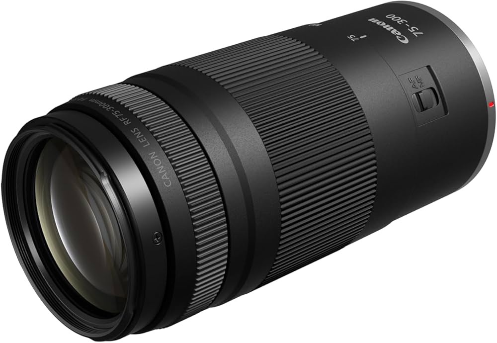 望遠レンズ キヤノン Canon 迫力の75-300mm レンズフード付き！ フード付/望遠レンズ/CANON EF 75-300mm F4-5.6 III 中古】Canon