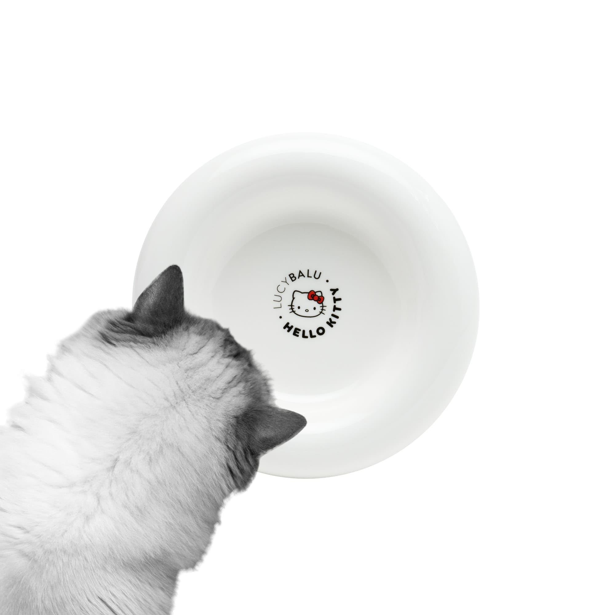 LucyBalu X Hello Kitty Drop Katzennapf aus Porzellan | erhöhter Katzen Futternapf | Wassernapf für Katzen | Porzellan Fressnapf erhöht | Trinknapf Katze | ergonomischer Katzenfutter Napf | Weiß