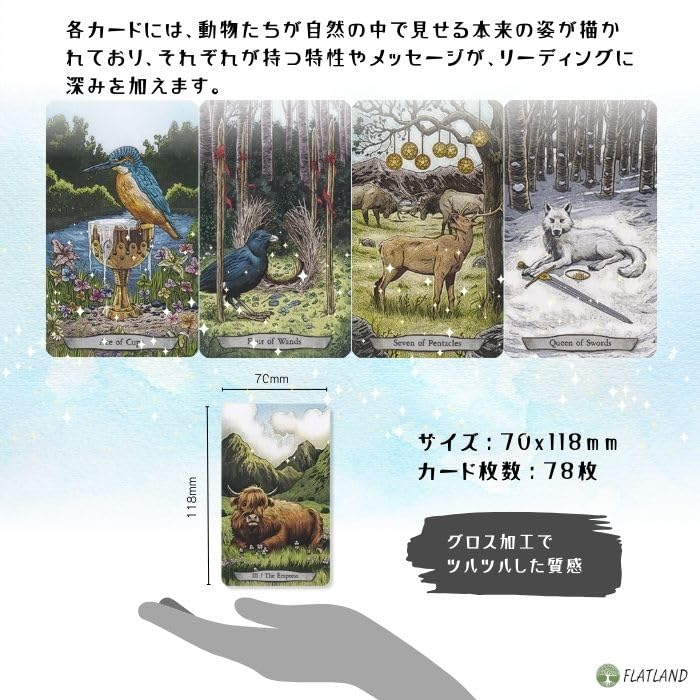 Amazon.co.jp: アニマル トーテム タロット Animal Totem Tarot