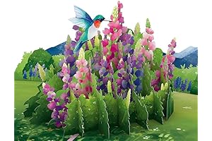 Lupine Hummingbird Love Pop Birthday Card 3D Pop Up Greeting Card 5"x7" with Envelope