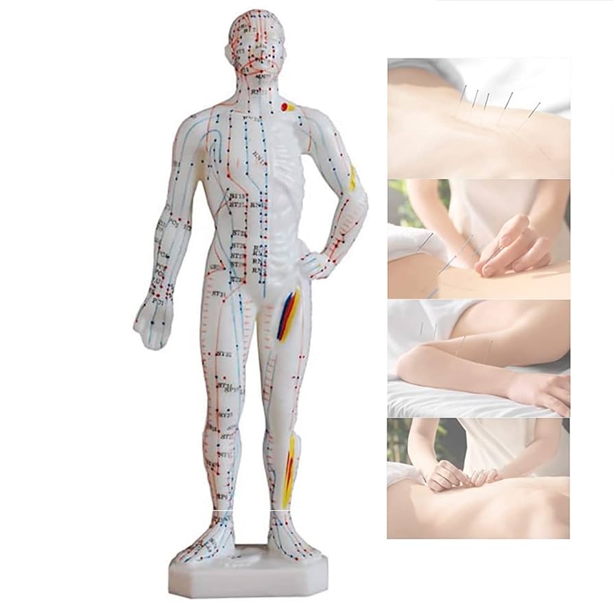 中国鍼灸学術史大網 81s80ssMuFL.jpg