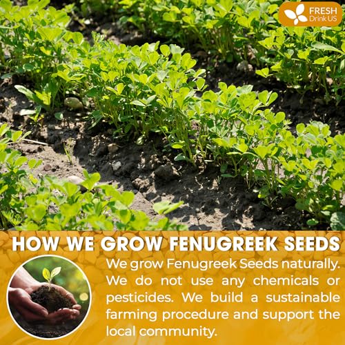 Image of FreshDrinkUS, Premium 16oz Fenugreek Powder, 100% Natural and Pure from Fenugreek, Perfect for Curries Soups, and Spice Blends, No Additives, No Gluten, No Sugar, Vegan