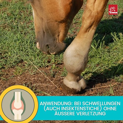 Kühlgel Pferd & Pferdebalsam wärmend & kühlend 2x500ml Arnika Salbe hochkonzentriert Gel für Sehnen Gelenke Muskeln Pferde Beine I Kühlsalbe Pferd mit Menthol Arnica Gel extra stark bei Verspanung