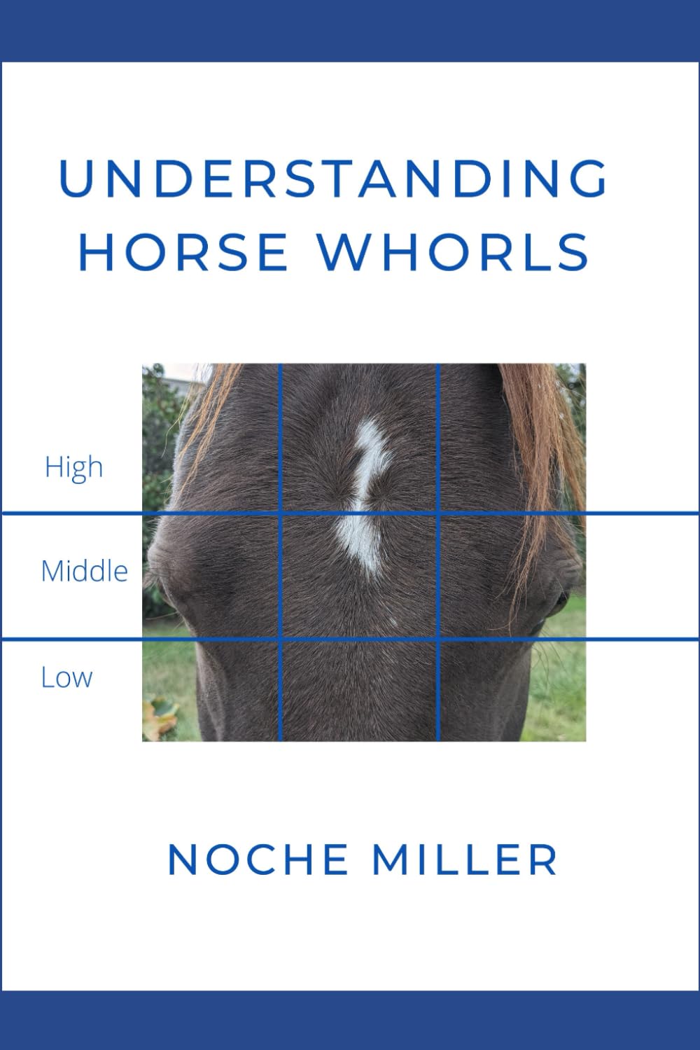Understanding Horse Whorls      Paperback – August 20, 2021