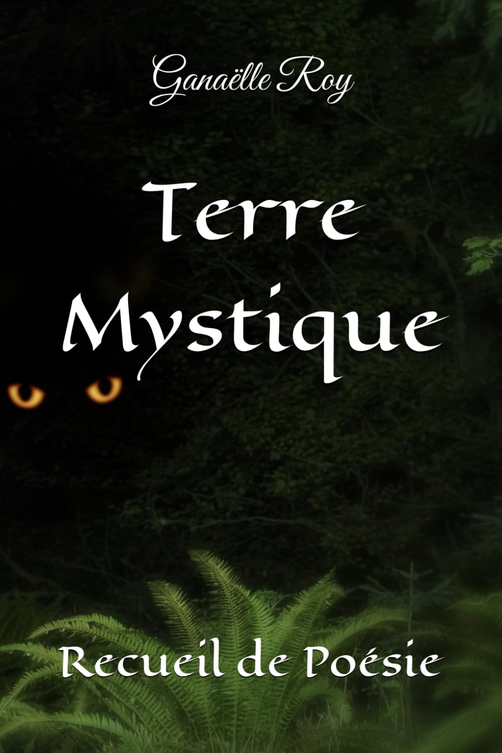 Terre Mystique: Recueil de Poésie