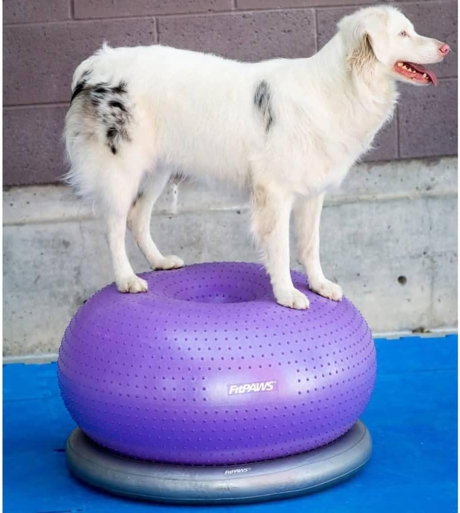 FitPAWS Traxdonut Dog Education Accessory