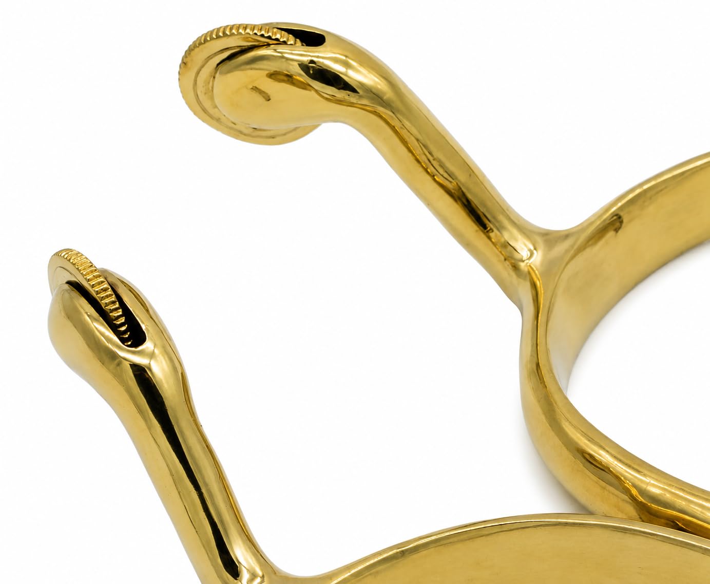Tysons Breeches Sporen Messing Gold Schwanenhals ernonimisch Rädchen Dorn Rädchensporen Dornsporen (Rädchen)