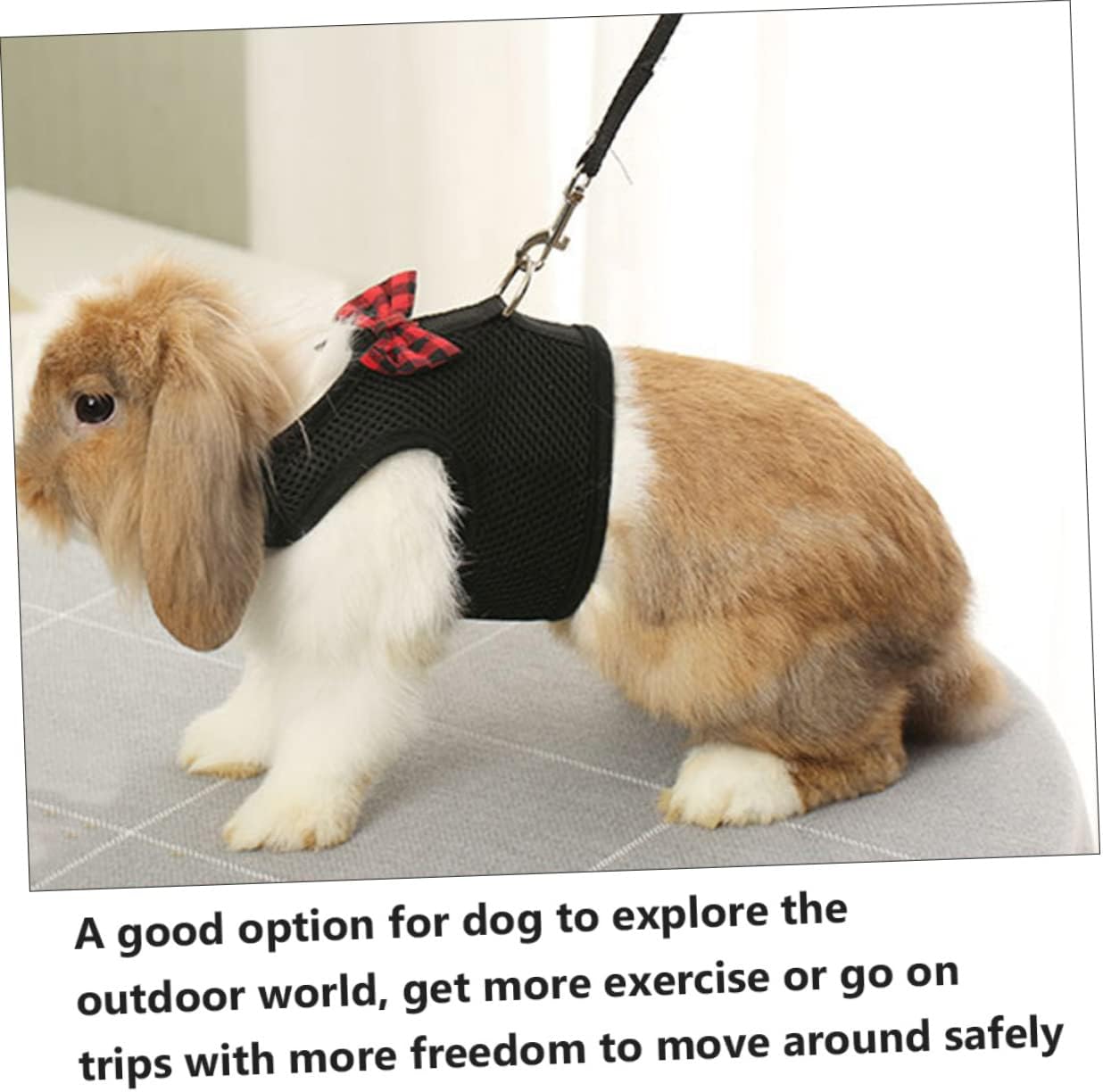 POPETPOP PET Harness for Small Animals Breathable Mesh Vest Leash for Rabbits Guinea Pigs and Squirrels Adjustable and Lightweight PET Pulling Strap