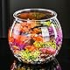 Transparentes Goldfischglas kleine Fischschale aus Plastik Bonsaischale Lotusblume Mini Fischglas Flache Kugelaquarium Aus Kunststoff, Runde Fischschale FüR Goldfische Und Kleine SchildkröTen
