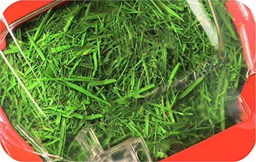 Flymo Chevron 32V 1200W Wheeled Mower