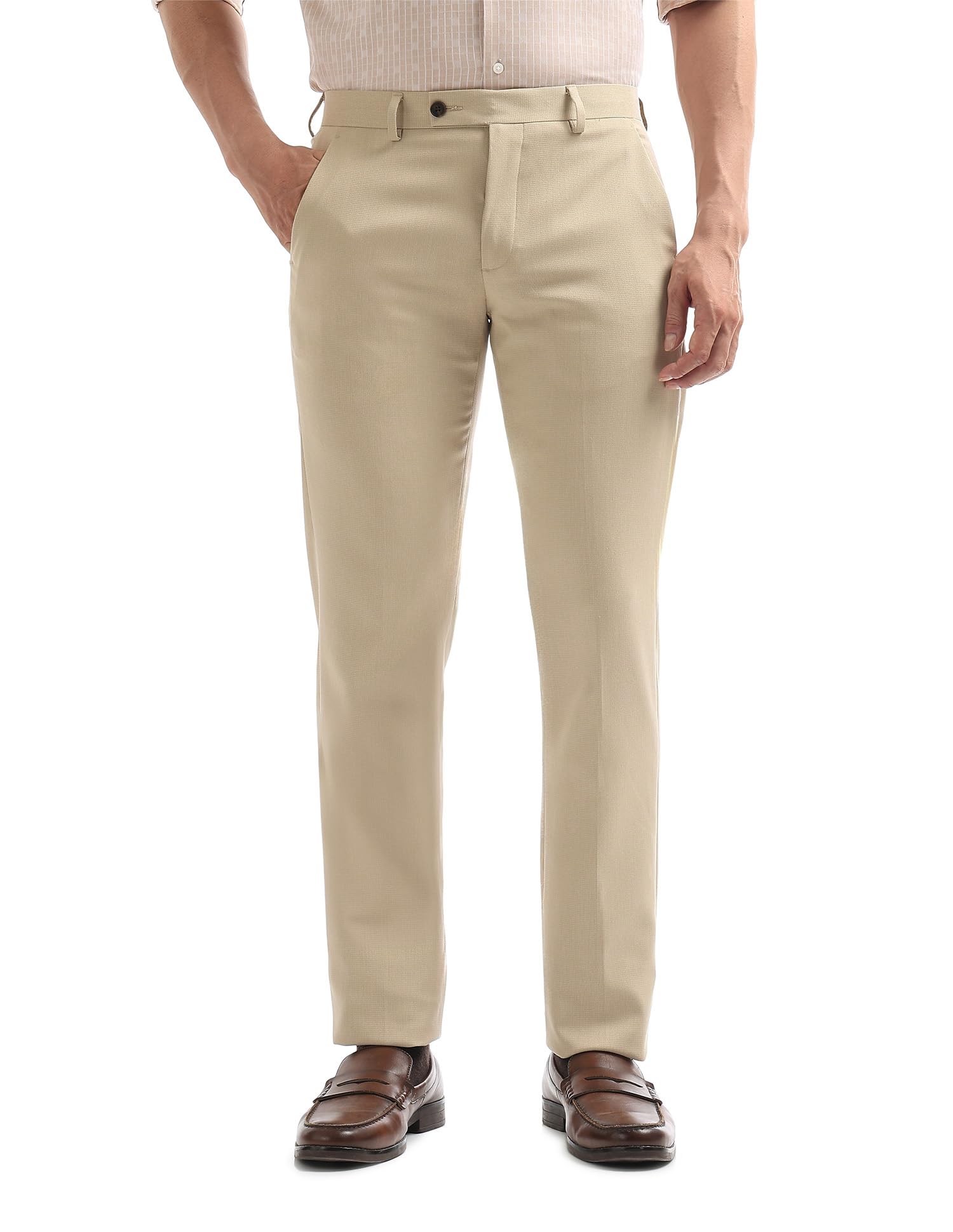 arrow Men Beige Formal Trouser_ARAEOTR2144-picture-23