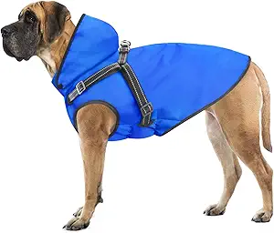 Mosucoirl Dog Raincoat Waterproof Dog Hoodie Reflective Doggie Raincoat Hooded Adjustable Rain Jacket for Small Medium Large Dogs Puppies Doggie Black Red Yellow Green (Blue, M)