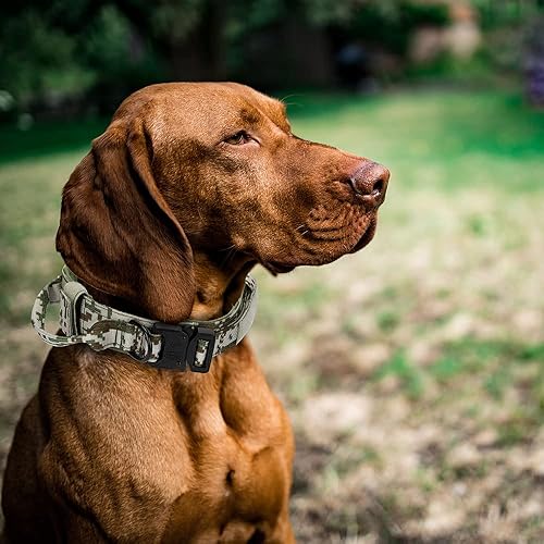 Miniatura 6 de Collar táctico para perro, collar de entrenamiento militar ajustable de nailon para perro con mango de control y hebilla de metal pesado de