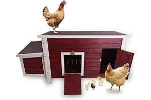 Petsfit Chicken Coop with Nesting Box: Providing a Cozy and Protected Home for Your Hens