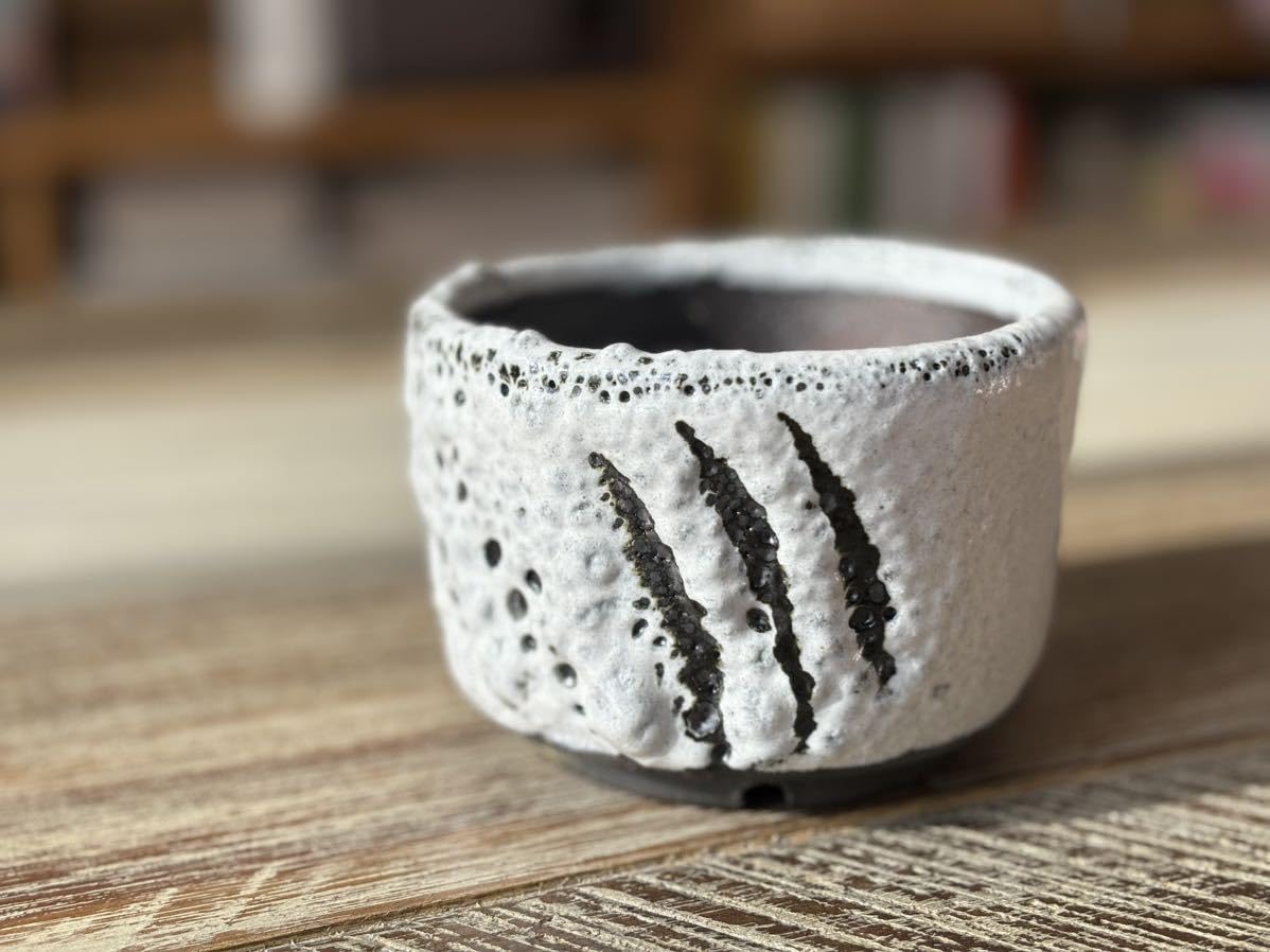 Amazon.co.jp: BOTANIZE x GREMLiNS コラボ鉢 カラーブラック 品