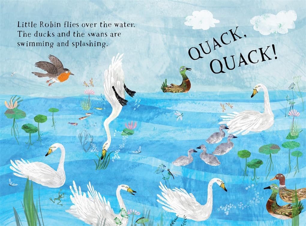 Little Robin's Book of Birds: 16