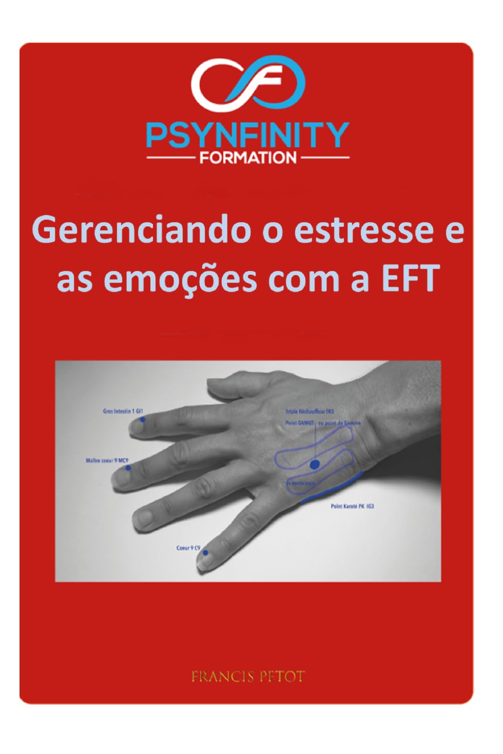 Como lidar com o estresse e as emoções: com a EFT (Psynfinity Formation)