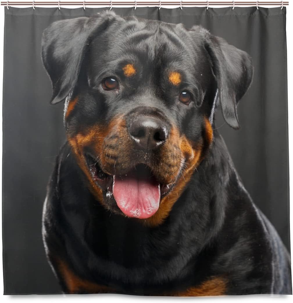 Shower Curtain 72x 72 inches with Hooks Bath Decorations Bathroom Home Decor - Rottweiler Dog