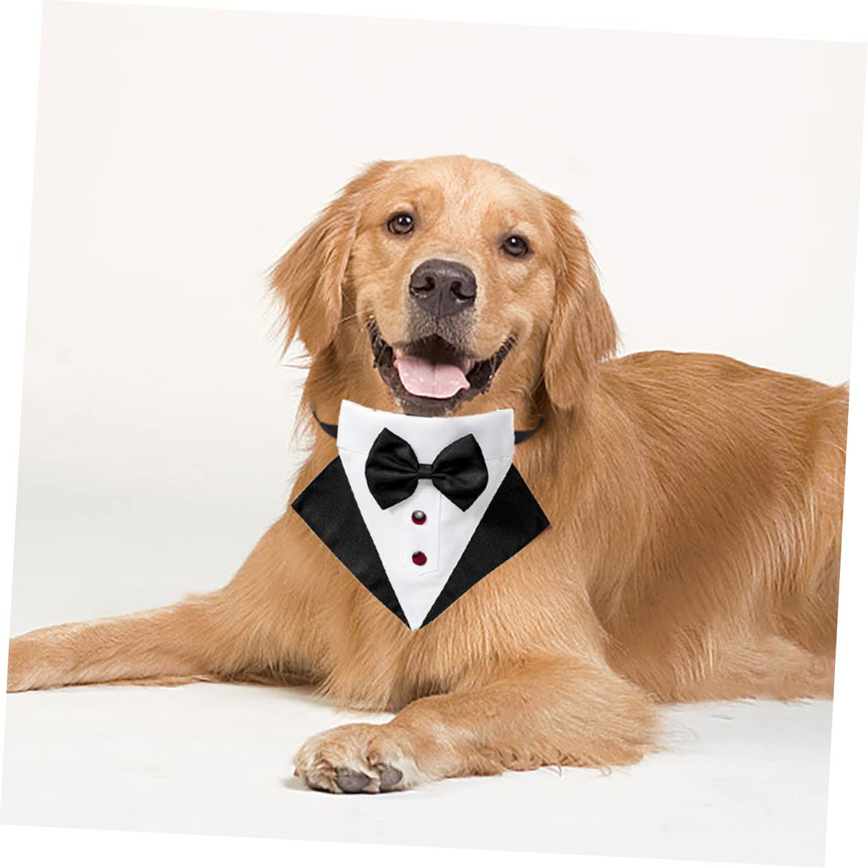 BESTonZON Costume Et Bandana pour Chien Déguisement Formel pour Animal De Compagnie Déguisement De Transport pour Chien Décoration pour