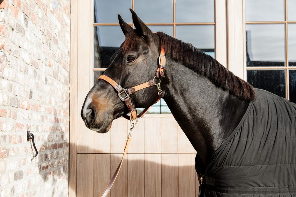 Kentucky Cabezada para Caballos Nylon Trenzada