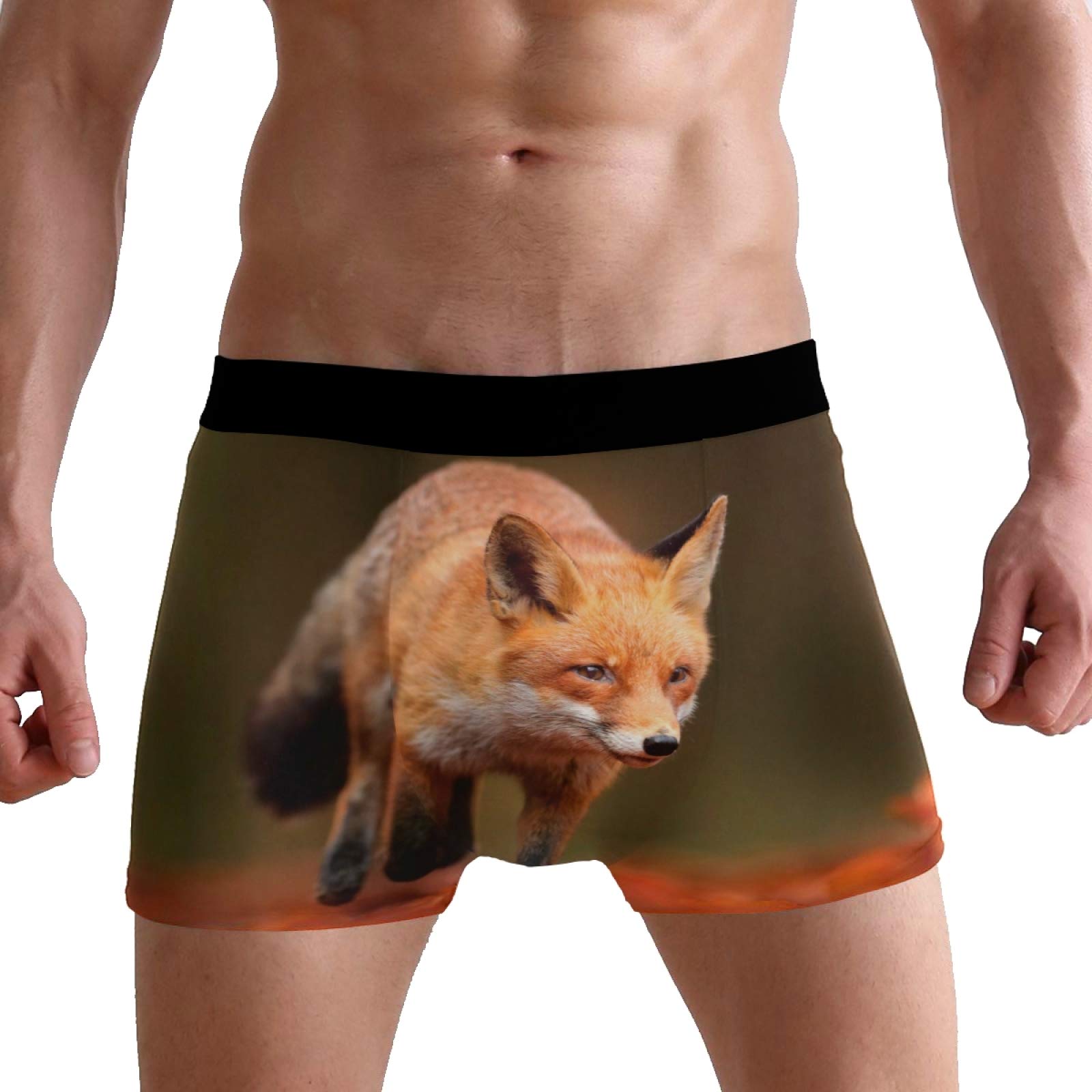 Puxuqu Men's Multicoloured Boxers Shorts Cute Red Fox Boxer Briefs Underwear For Boy