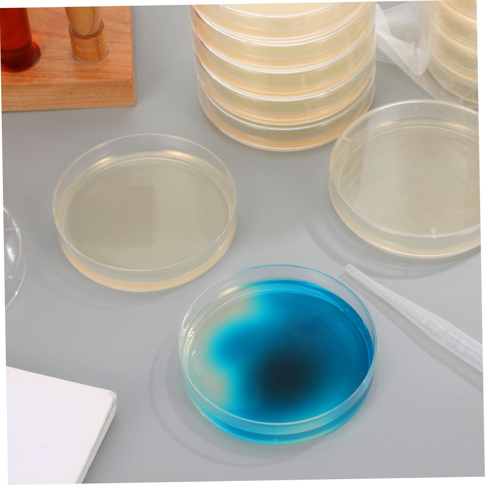 Piastre Petri Agar Nutritivo da 7cm, 20 Pezzi Pronte all'Uso | Microrganismi, Analisi Microbiologiche, Scuola e Lezioni di Scienze, Facili da Trasportare, Studenti Ricercatori