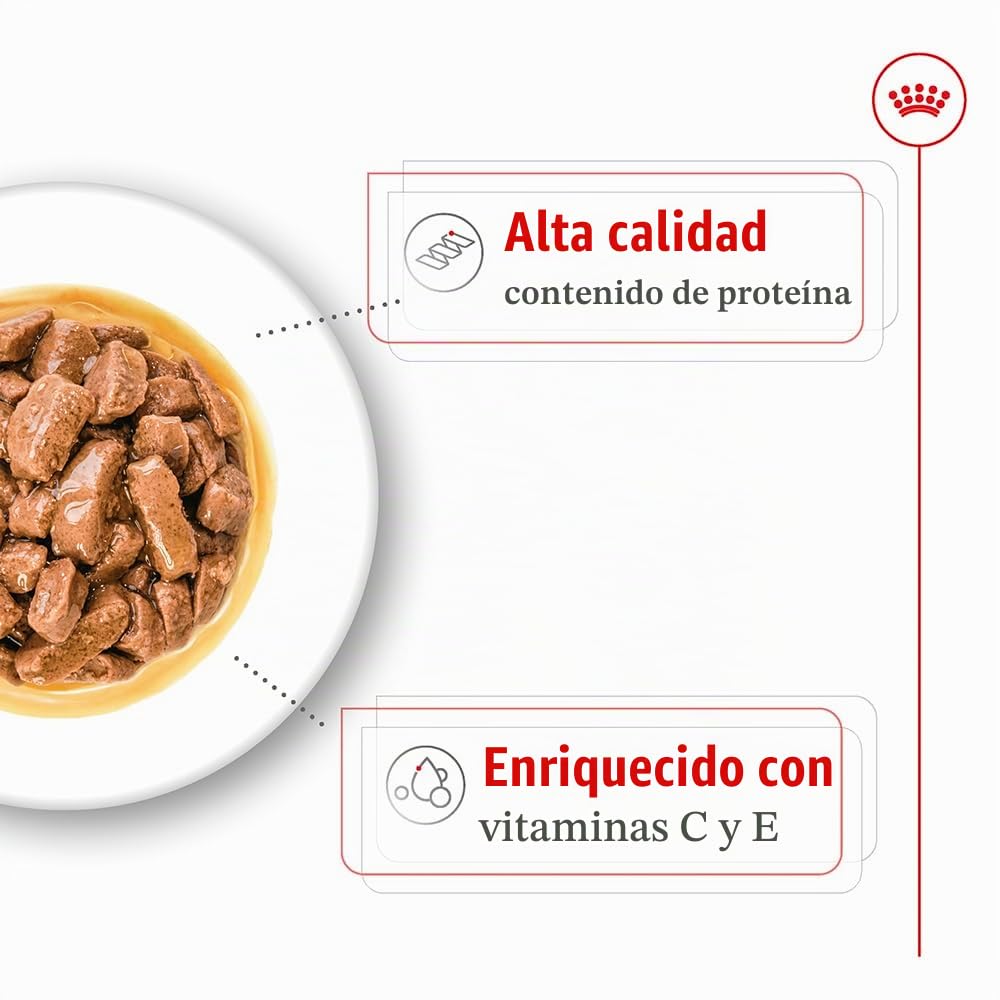 Royal Canin Medium Adult | 10 x 140 g | Alimento completo para perros adultos medianos de 11 a 25 kg | De 12 meses a 10 años