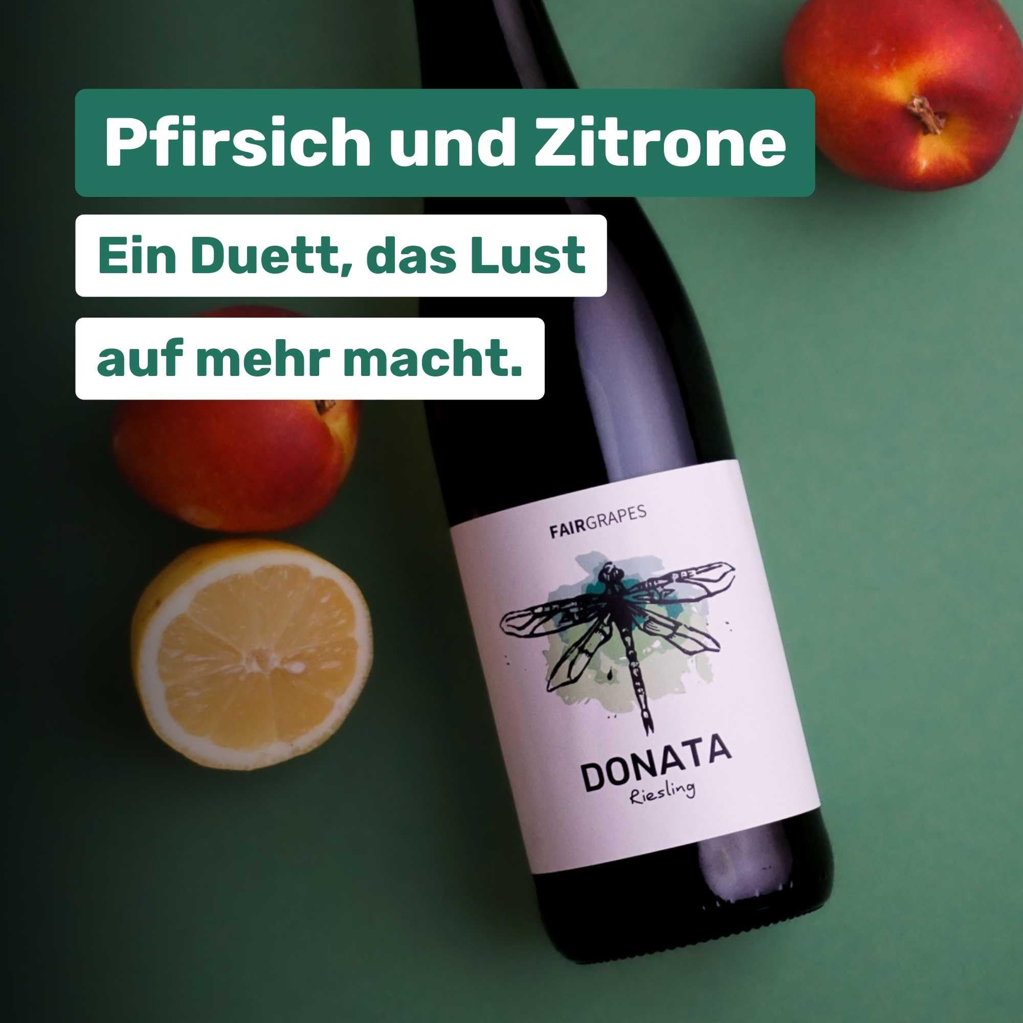 FairGrapes Riesling »Donata« | 89+ Punkte Falstaff | VDP.Gutswein | 2022 Weißwein Feinherb | Zitrone, Pfirsich | Geschenkidee (6 x 0.75 l)
