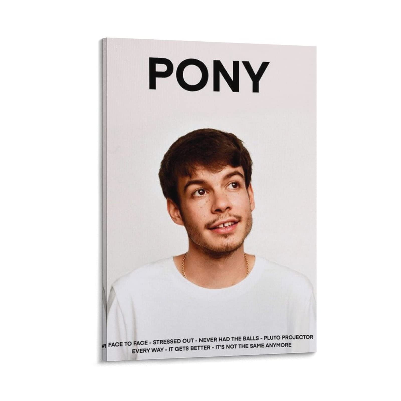 Poster Rex Orange County PONY Toile Décoration Salon 50x75 cm