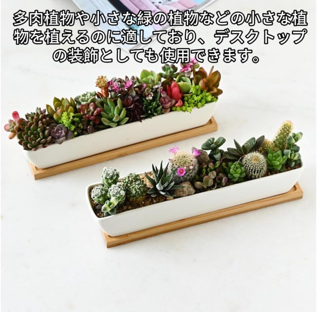 Damika 長方形セラミックプランターポット 水切り付き多肉植物ポット 排水穴 おしゃれ 植木鉢 寄せ植え サボテン 陶器 受け皿