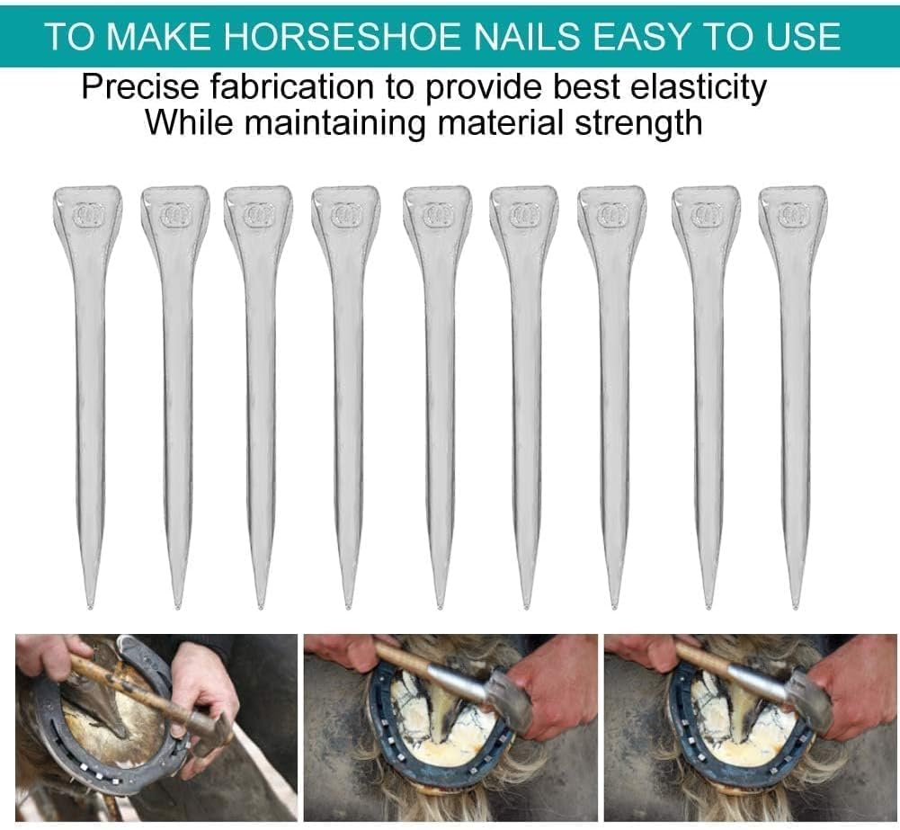 Cyrank 250PCS Horseshoe Nails, Horseshoe Nail Steel 2.13 Inches E6, Horse Shoe Nails Horseshoe Tools Stainless Steel Horseshoe Horse Hoof Peg Securing Nails Tools for Horse Training Equestrian Sports