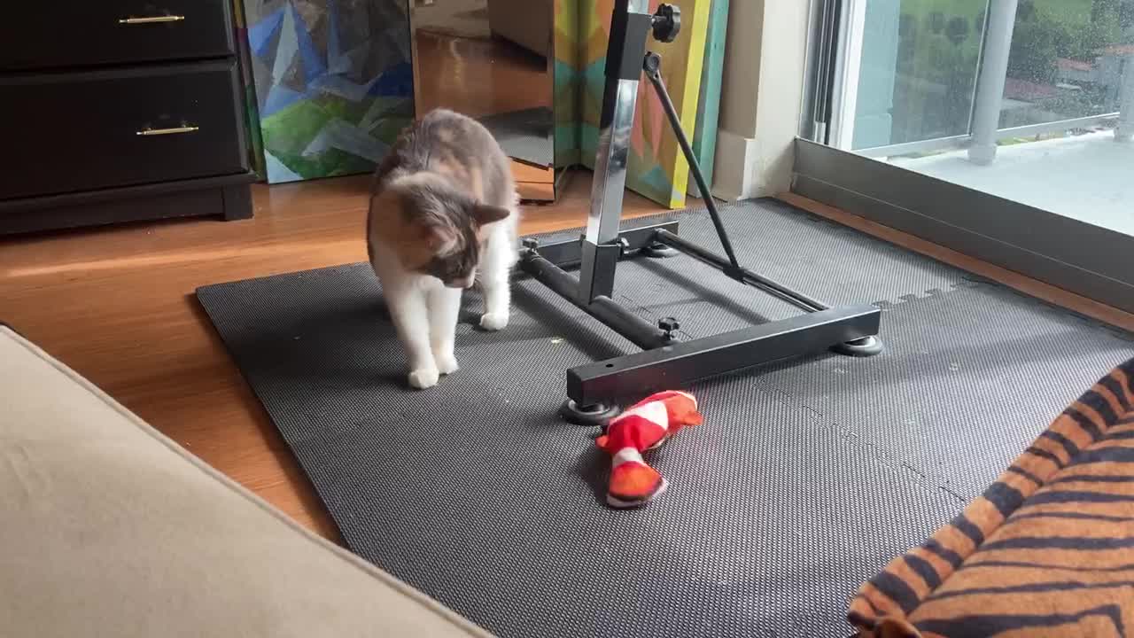 video