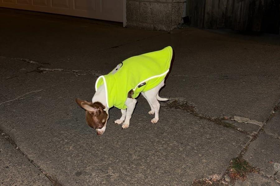Image of JACKO & CO - Fleece Vest Dog Sweater with Leash Ring - Soft, Warm & Lightweight Pullover Coat for Small & Medium Dogs, Puppies & Cats - Cozy Fall /Winter /Spring Pet Jacket (Neon Green, XXL 25-35lbs)
