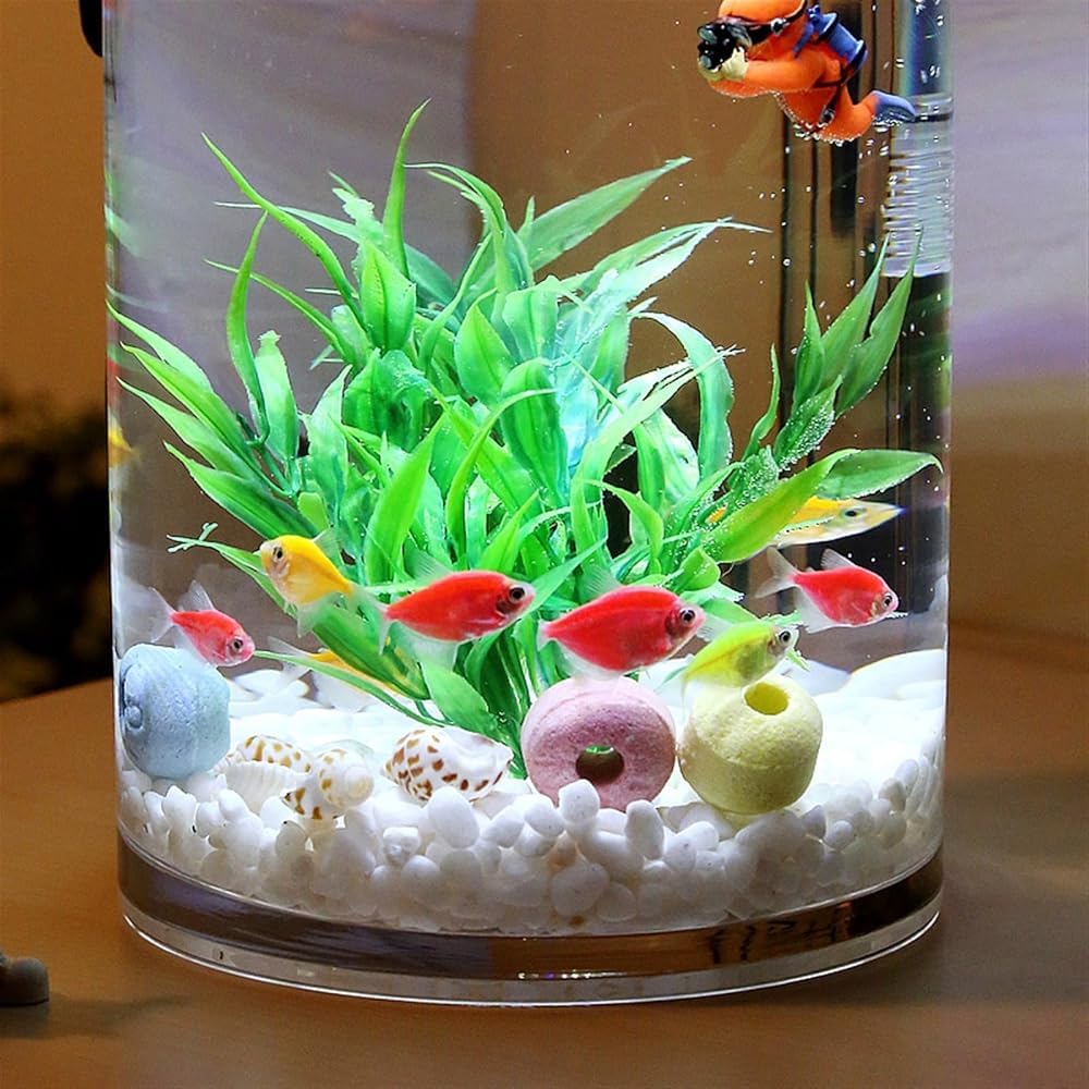 Kleine zylindrische Glas-Fischschale, Desktop-Aquarium für Büro, Wohnzimmer, Heimdekoration, transparenter Betta-Fisch-Lebensraum