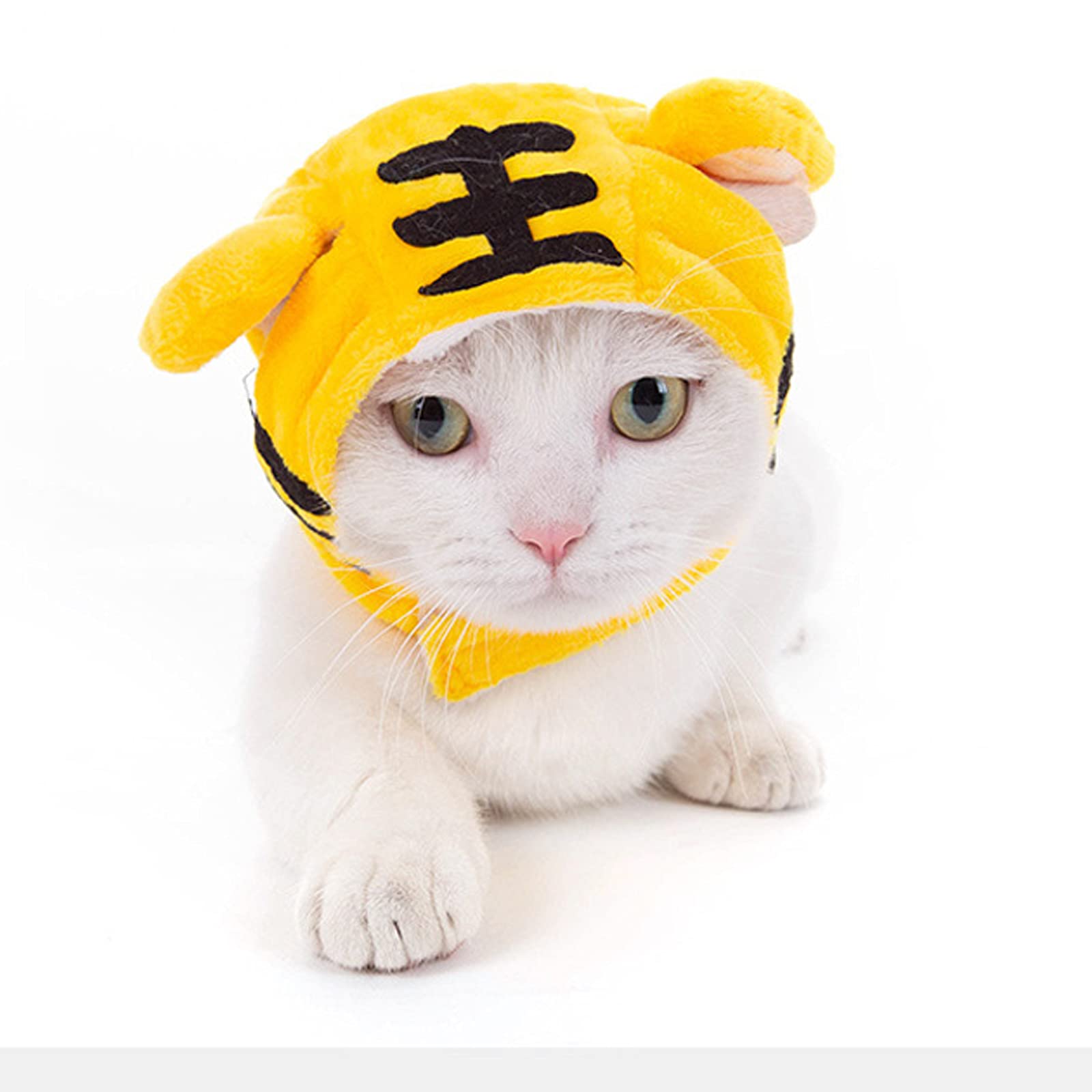 Cat In Pikachu Costume
