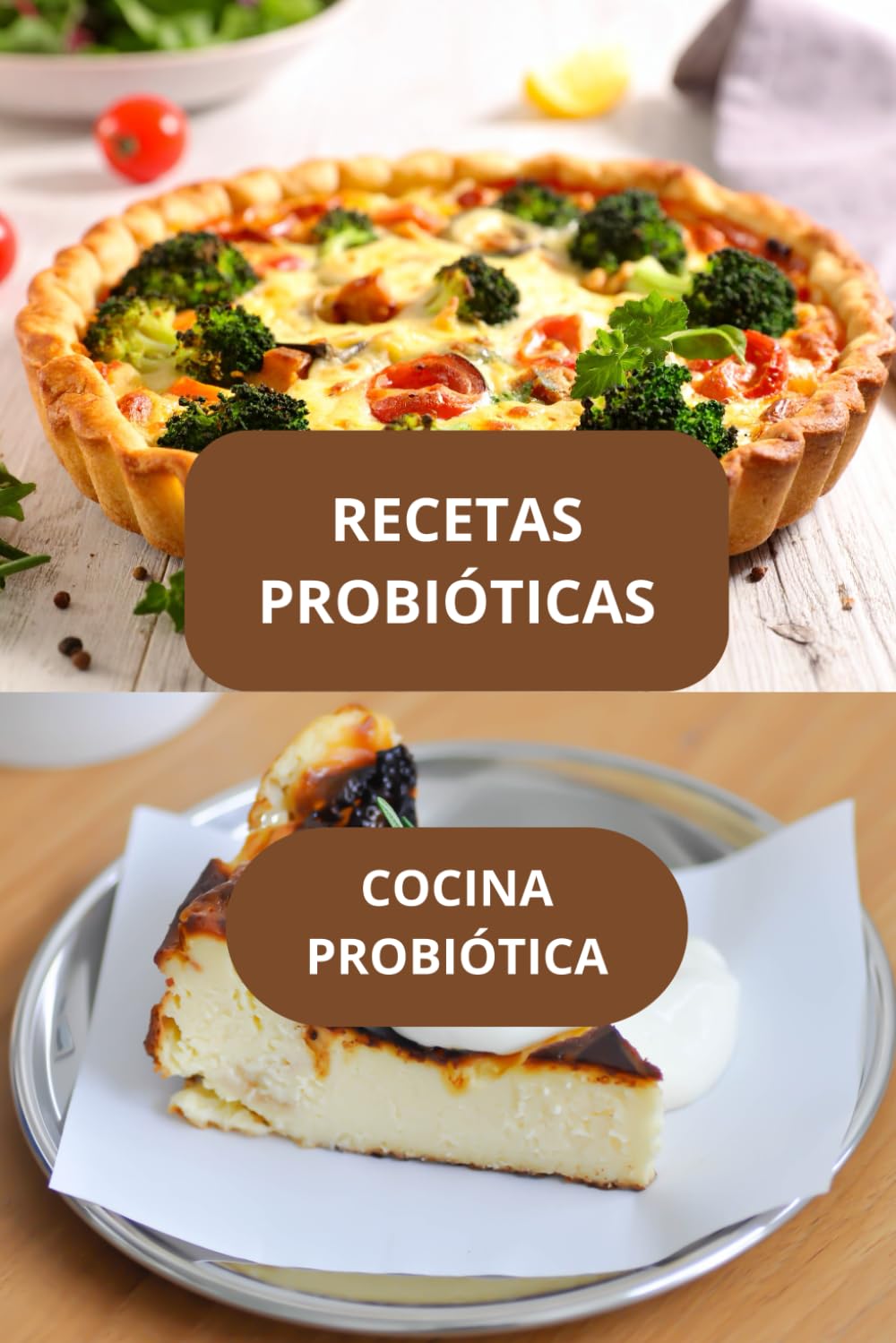 Recetas probióticas: Cocina probiótica - Alimentación probiótica - Recetas fermentadas
