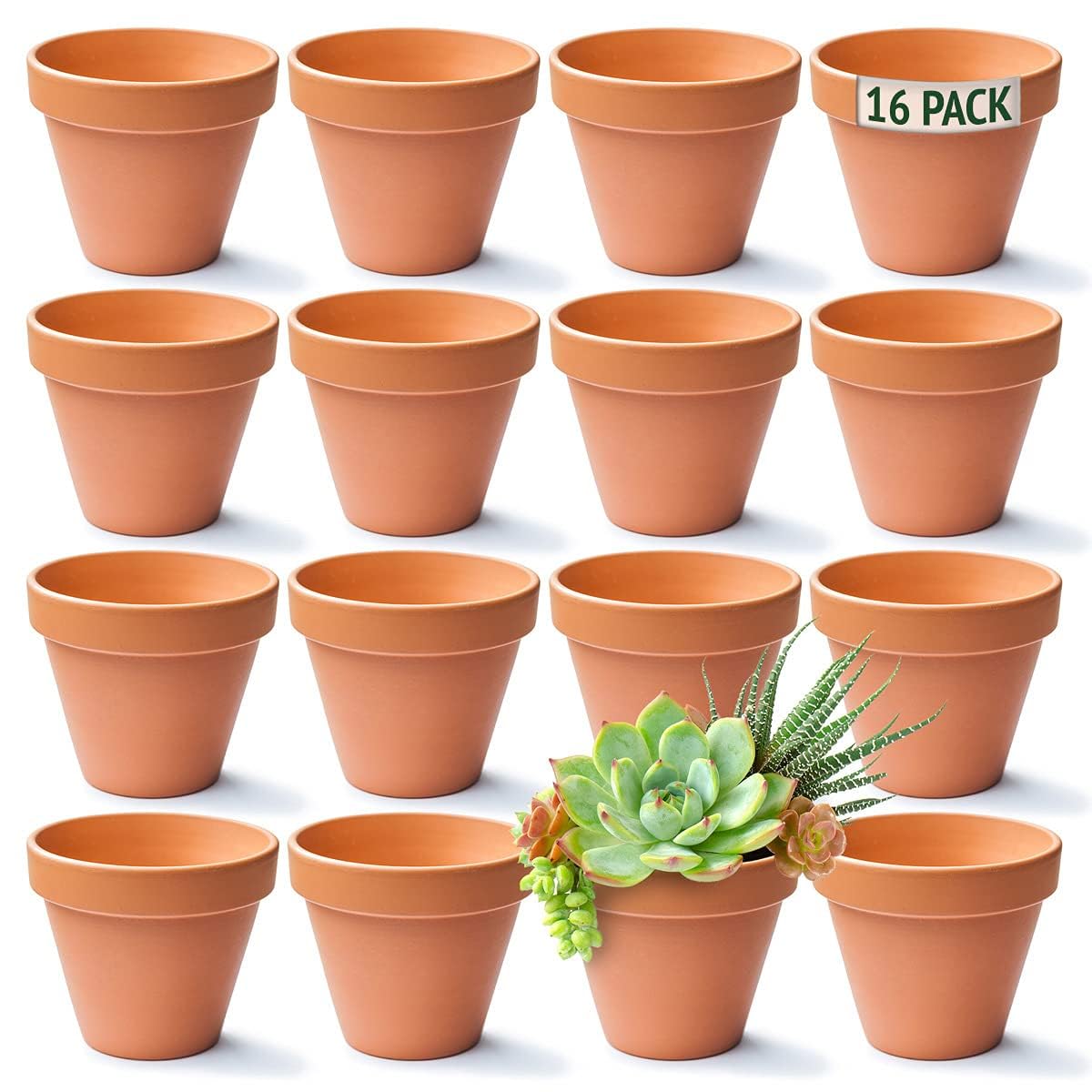 Green Thumbz Pots en Terre Cuite, Mini Pots de Plantes et de Fleurs, jardinière pour épices, semis, Plants et Fleurs (Lot de 16-8cm)