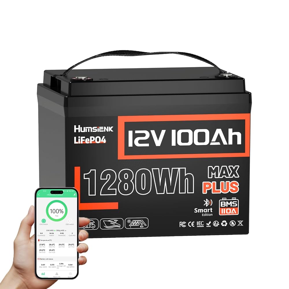 0813 12V 100Ah LiFePO4バッテリー スマートBMS キャンプ 0813 12V