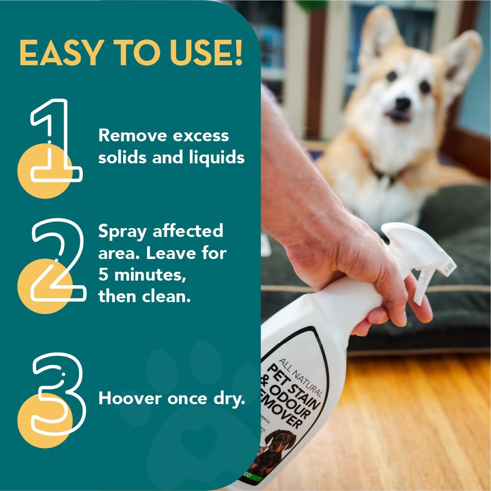 The Healthy Dog Co Eliminador de Manchas y olores de Mascotas Totalmente Natural para Perros y Gatos | Mata gérmenes, Elimina vómitos, orina, heces, Baba, olores | 1 litro