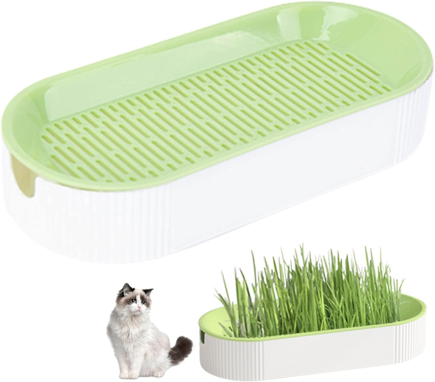 Blogiiup Grass Planter,Tray Plastic Catnip Cat Grass Box Soil Free Cat Plant Planting Box