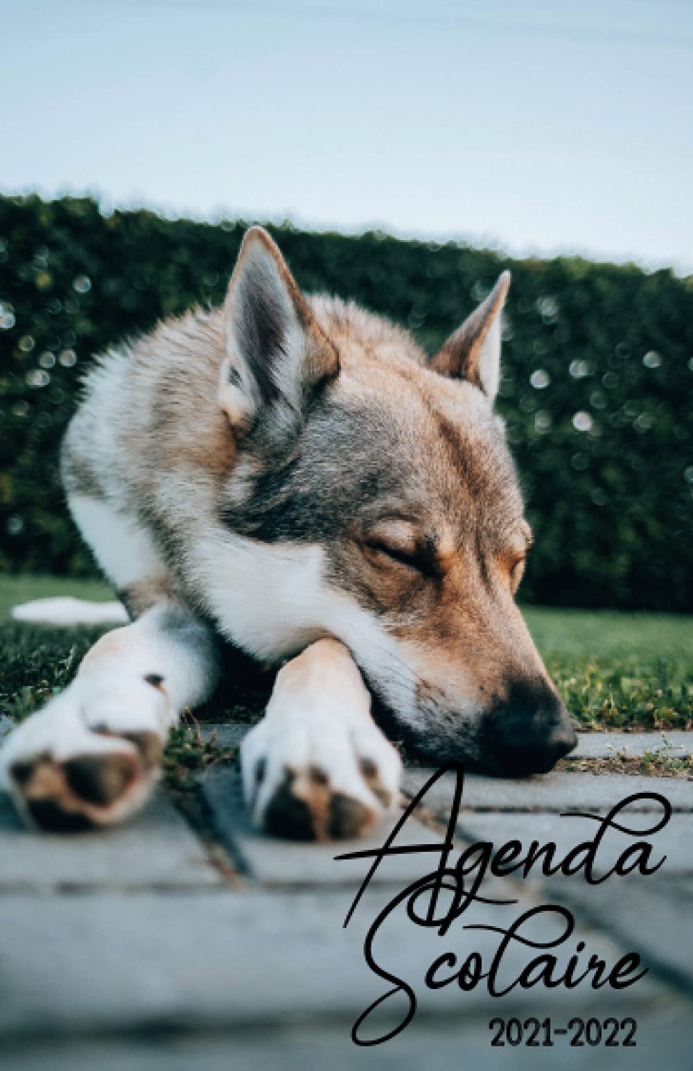 Agenda Scolaire 2021-2022: 1 jour 1 page ( Aout 2021 au Juillet 2022 Avec la date ) , Calendrier , Vacances , emploi du temps , contacts , chien loup